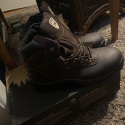 Redwing Irish Setters 
