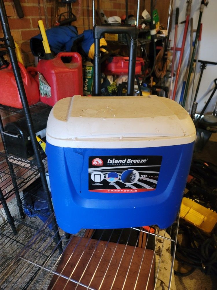 Cooler