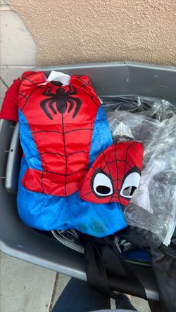 Spiderman costume
