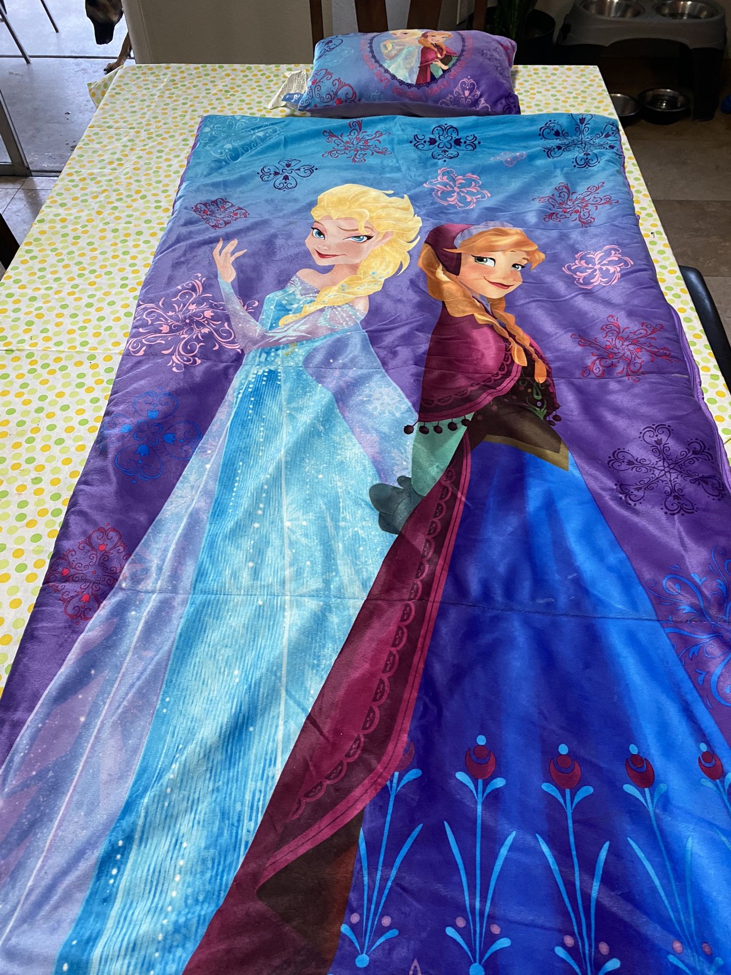 Frozen Sleeping Bag