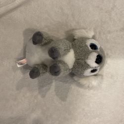 Koala bear