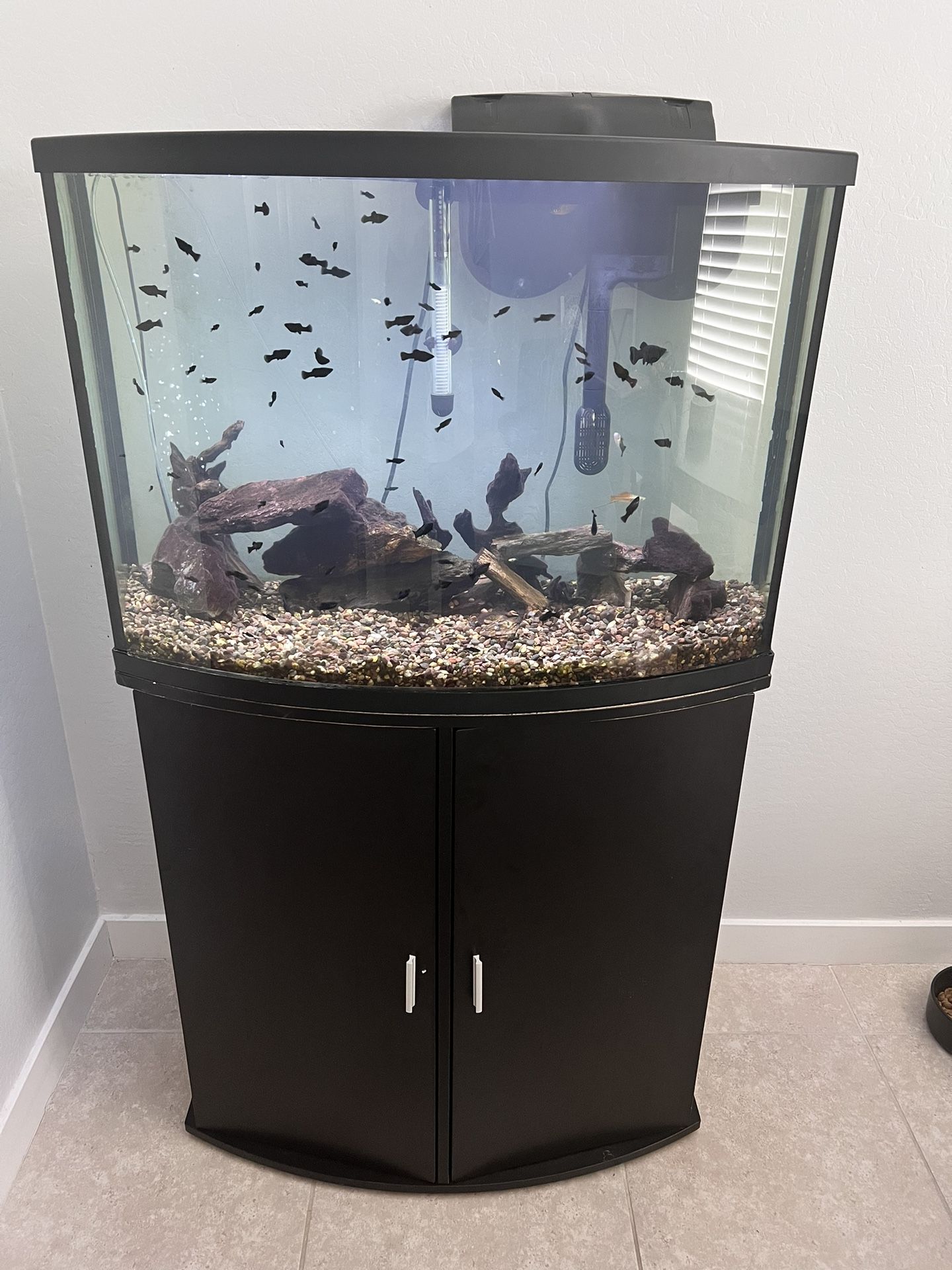 36 Gallon Bow Front Fish Aquarium 