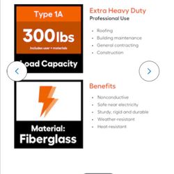 Werner 40 Foot Ladder 