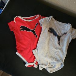 Puma onezies