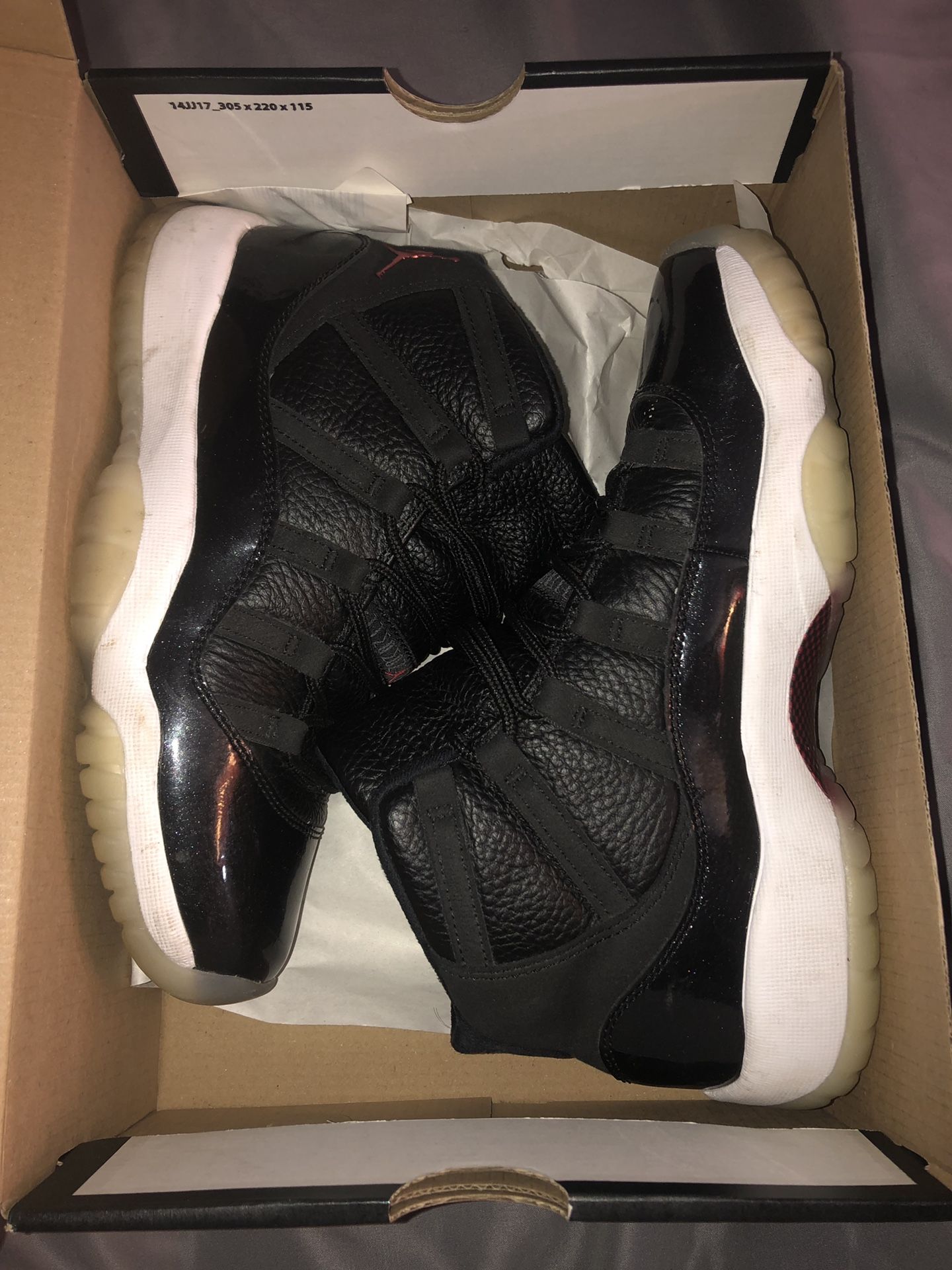 Jordan Retro 11 72-10