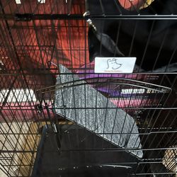 Ferret Or Critter Cage 
