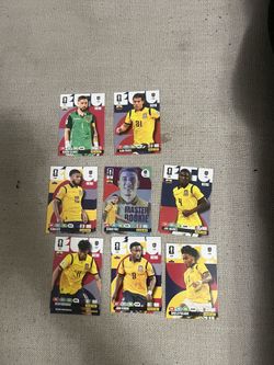 Panini adrenalyn XL WC 26 Cards Ecuador