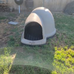 Dog House 