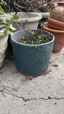 Large Clay Plant Pot