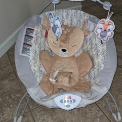 Fisher Price Bouncer 