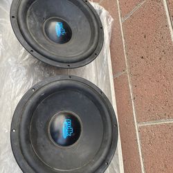 Speakers 🔊 12” Polk Dx Series 