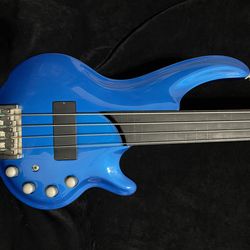 Cort Curbow Fretless Bass Guitar