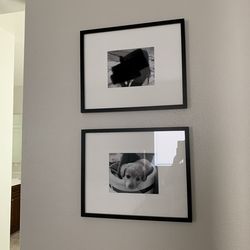 (2) 16x20" black picture photo frames Modern decor with mats