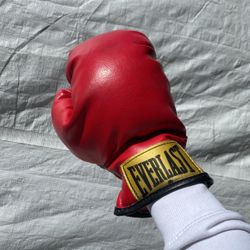 Everlast BOXING GLOVES 