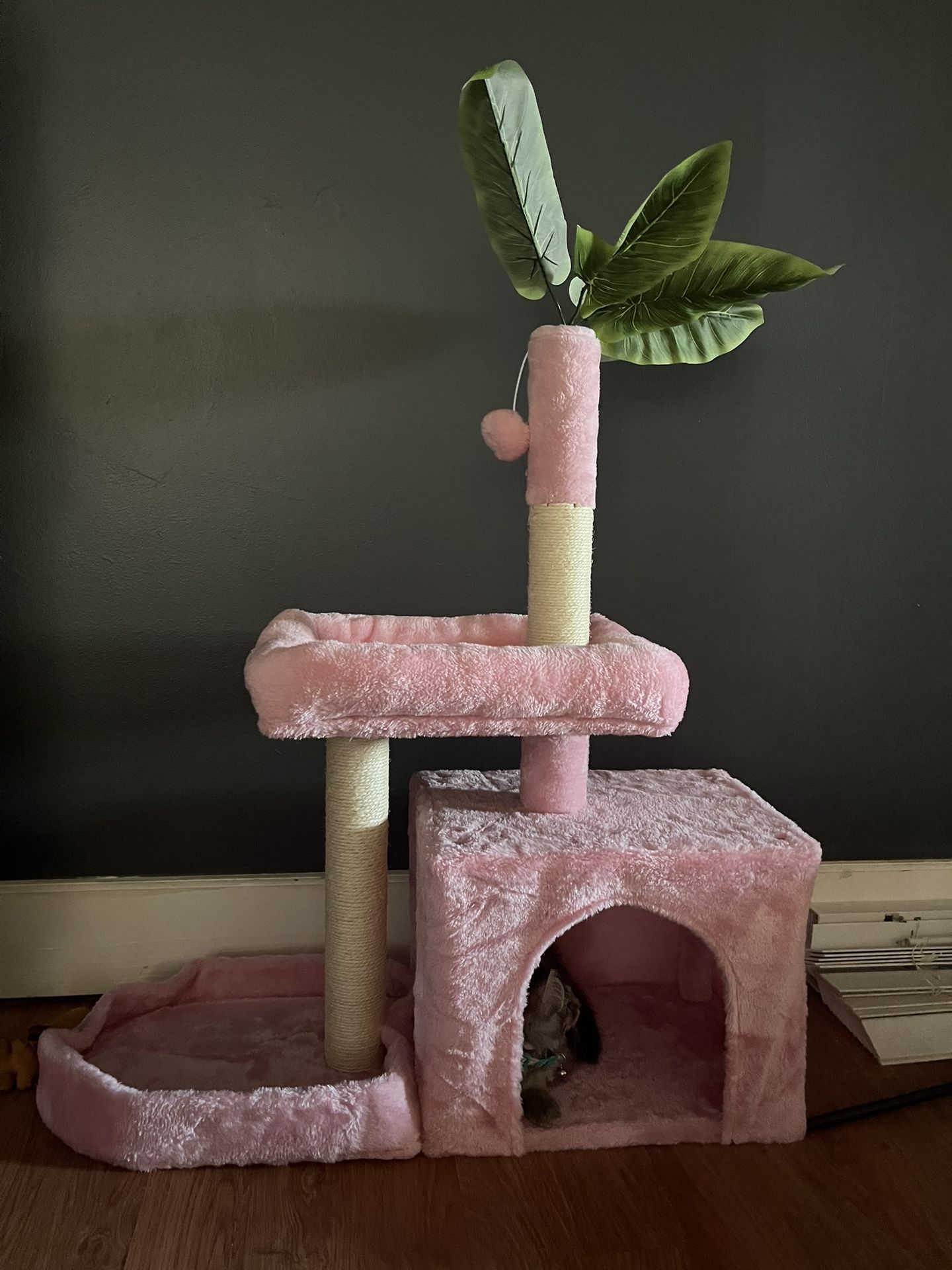 Cat Tree