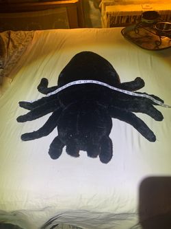 Big spider
