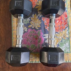 10 lb. Dumbbells (pair)