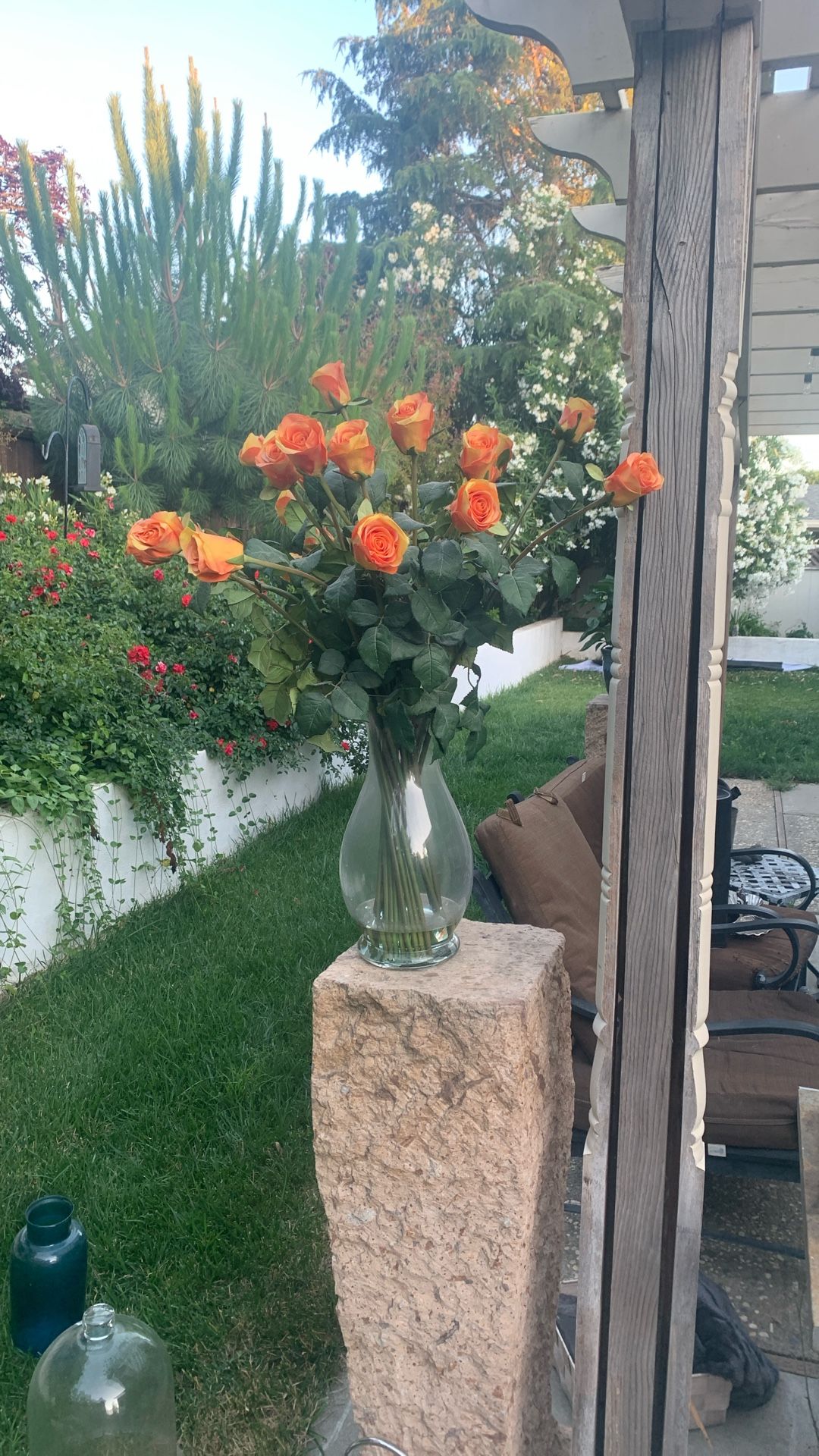 Two Dozen Forever Orange Roses