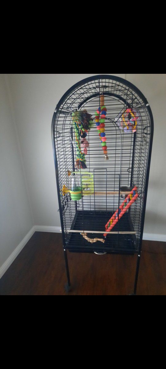 Parrot Cage 