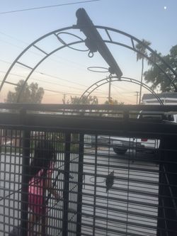 Parrot Cage