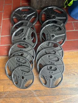 135 lbs 1” inch diameter weights plus bar