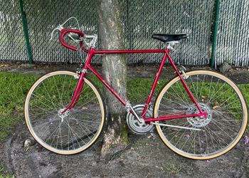 Schwinn Confidential Bike @1974