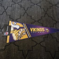 Minnesota Vikings NFL pennant Flag