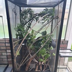 Chameleon Cage Fully Done