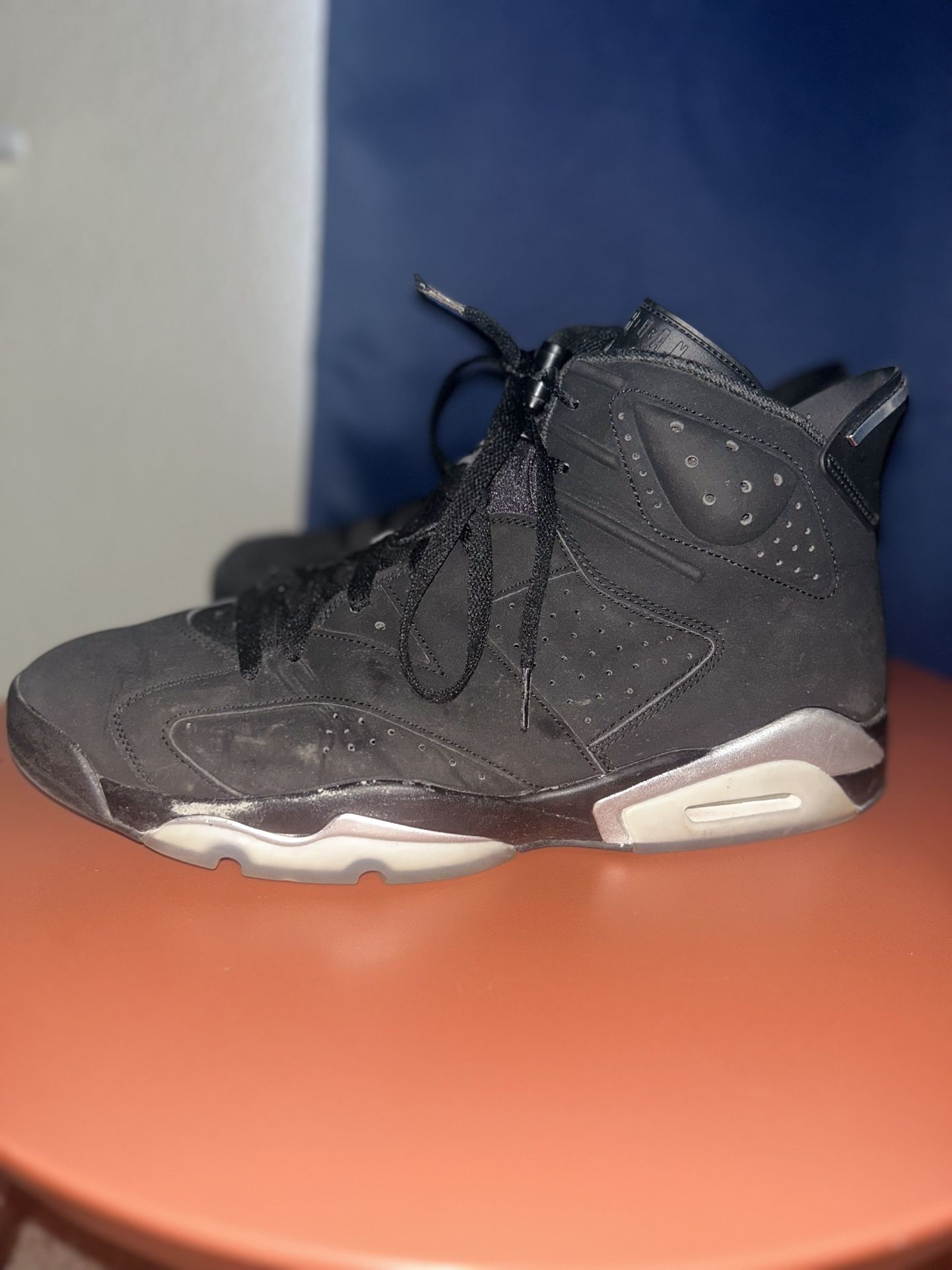 Air Jordan Retro Raptors