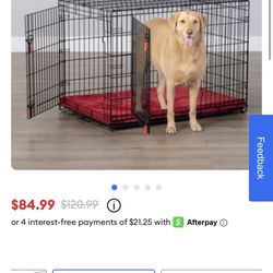 Kong Dog Crate 
