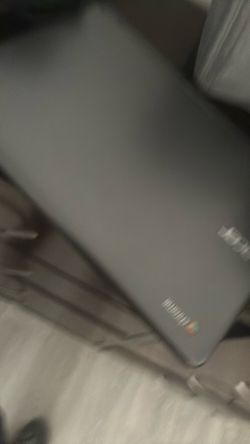 Acer