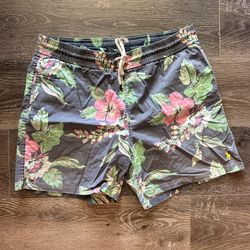 Ralph Lauren POLO Mens Swimming Trunks Sz L