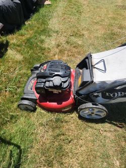 Toro