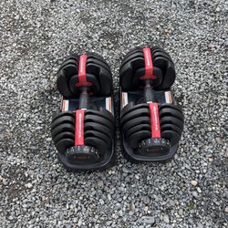 Bowflex Dumbbells 