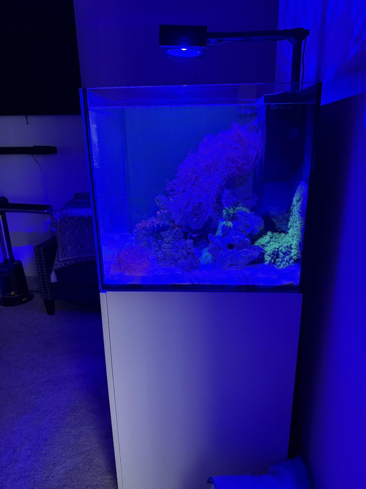 Red Sea Reefer G2+  42 Gallon Saltwater Aquarium 