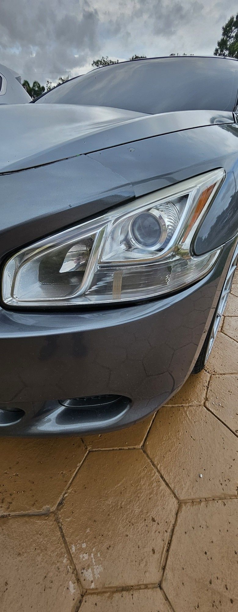Maxima Headlights And Grille