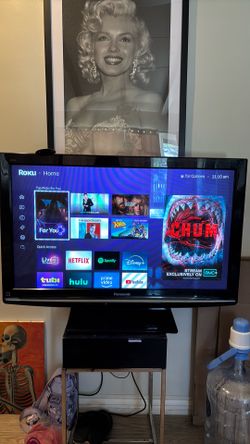 Panasonic 42" Plasma TV + Roku Streaming Device