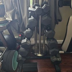 Dumbbell set 5-45 [300lbs total]

& Free Preacher Bench 