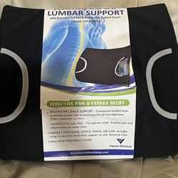 NEW Lumbar Support with Removable Padded Insert 