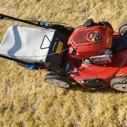 Lawn Mower 
