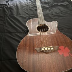 bajoloche/acoustic bass