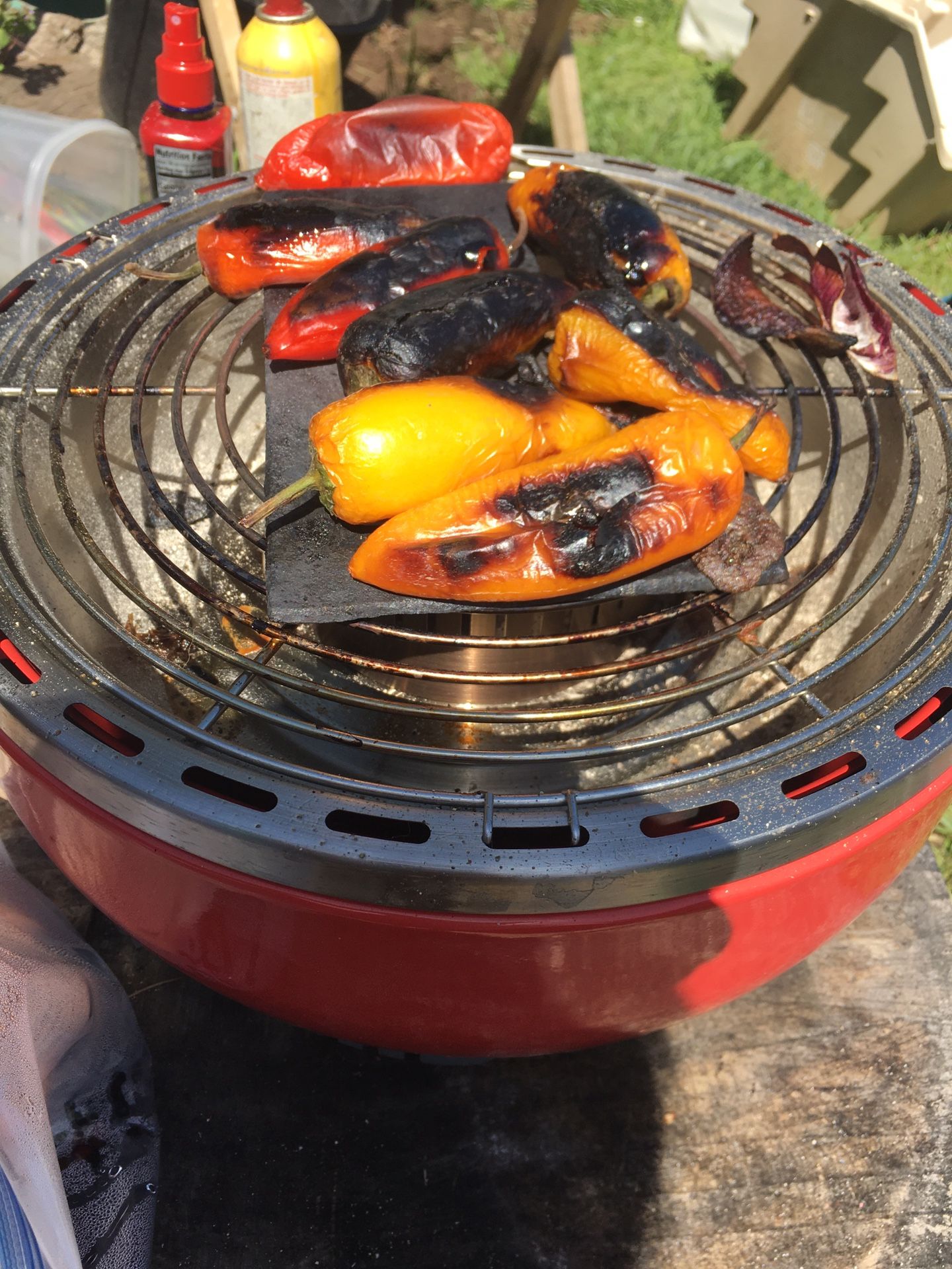 Bbq Grill Portable Montel Charcoal Xlnt. Cond