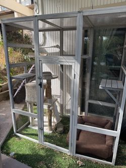 Large Catio