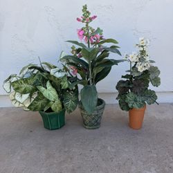 Artificial Plants 