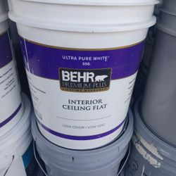5 Gallons Ceiling White Paint 