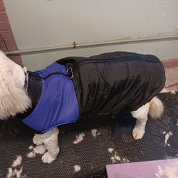 Purple/Black Zip Up Dog Jacket Vest Size 5X NEW