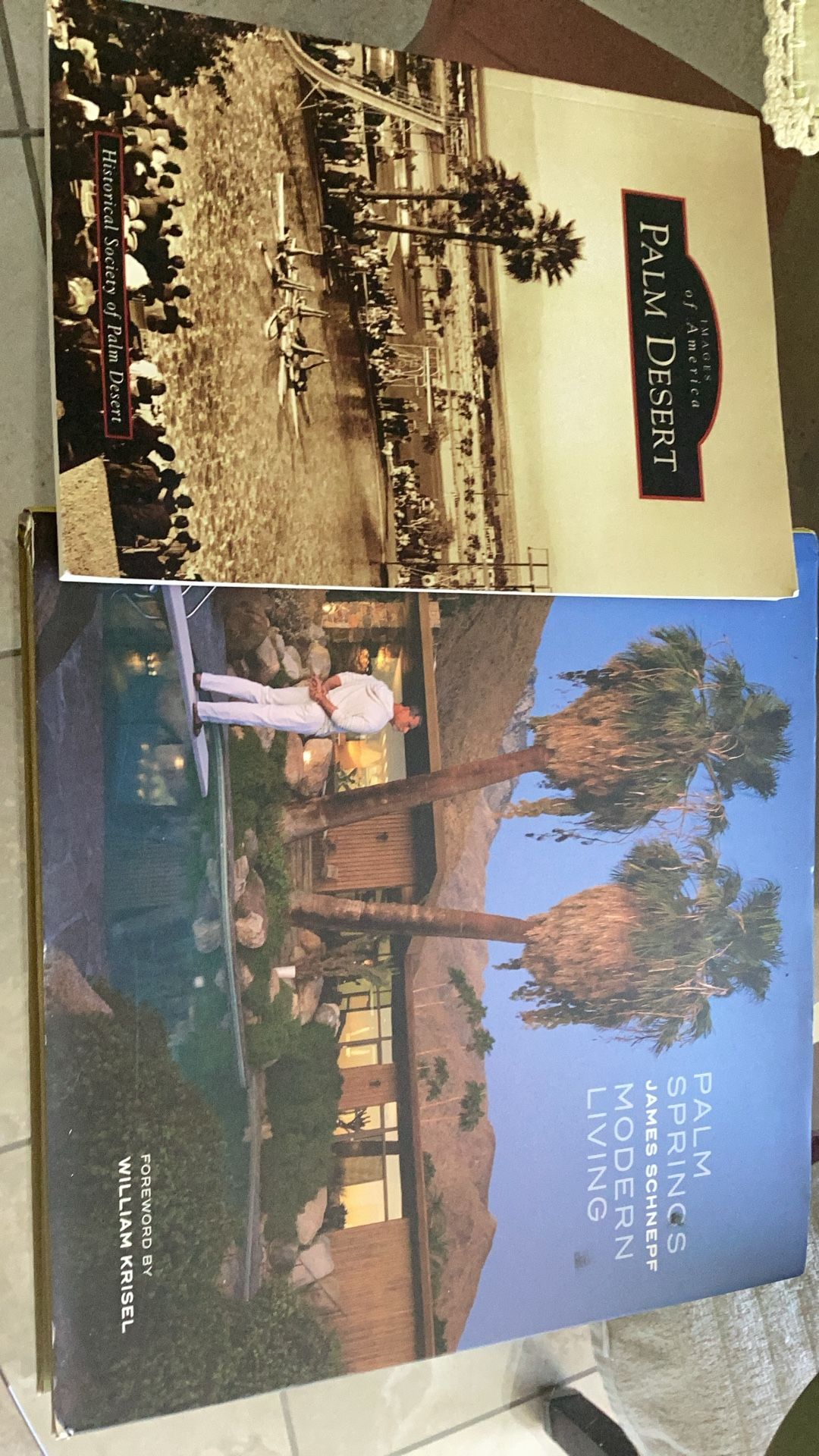 Two Books About Palm Springs