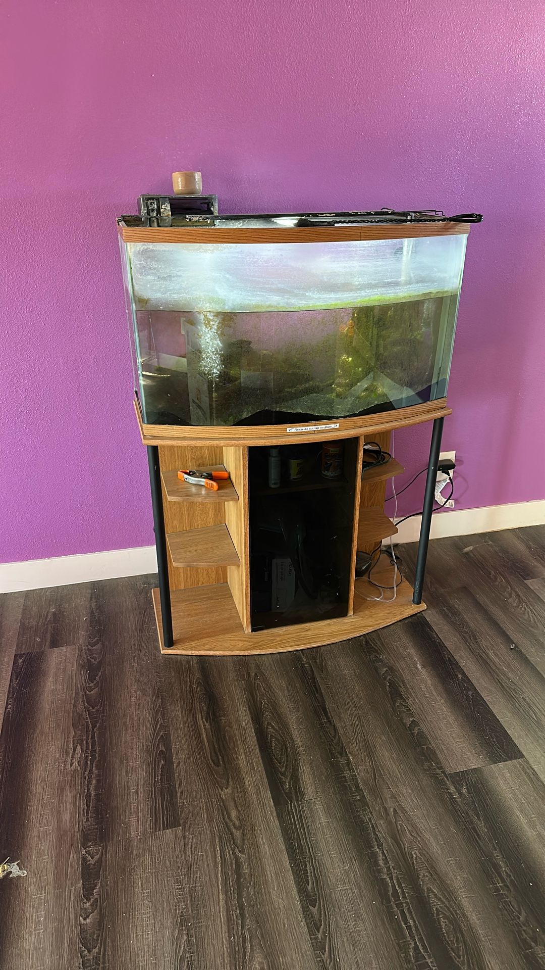Fish Tank 