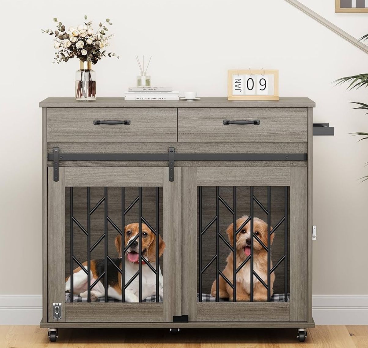 Dog Kennel for 2 Dogs