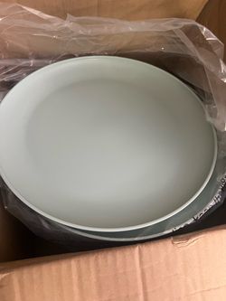 BRAND NEW IN BOX Case of 24 Greenish grey plastic plates from Target. 10.5" diameter